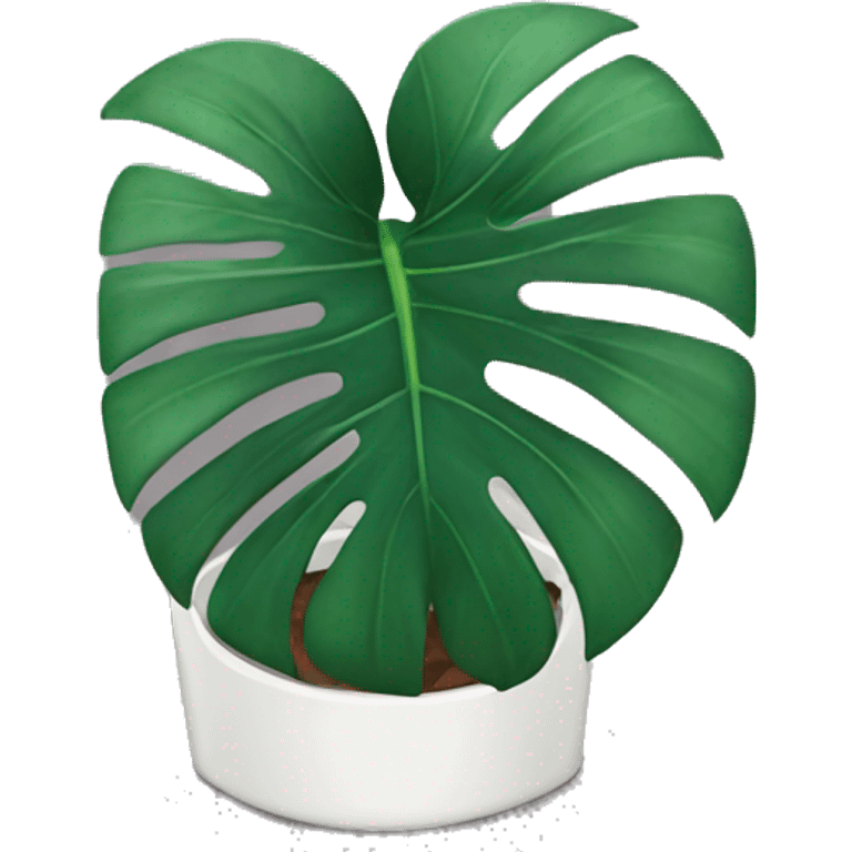 Monstera plant emoji