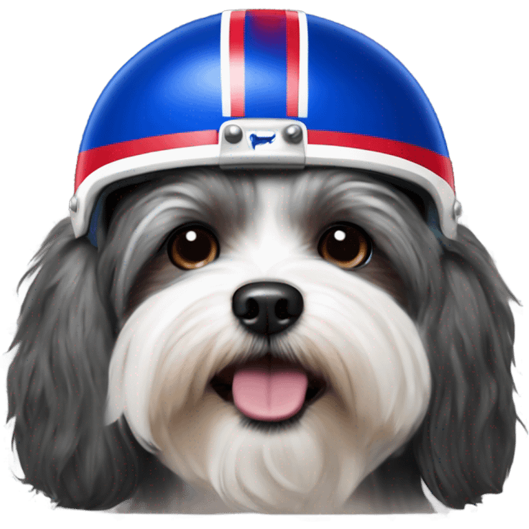 Havanese dog wearing a Buffalo Bills helmet  emoji