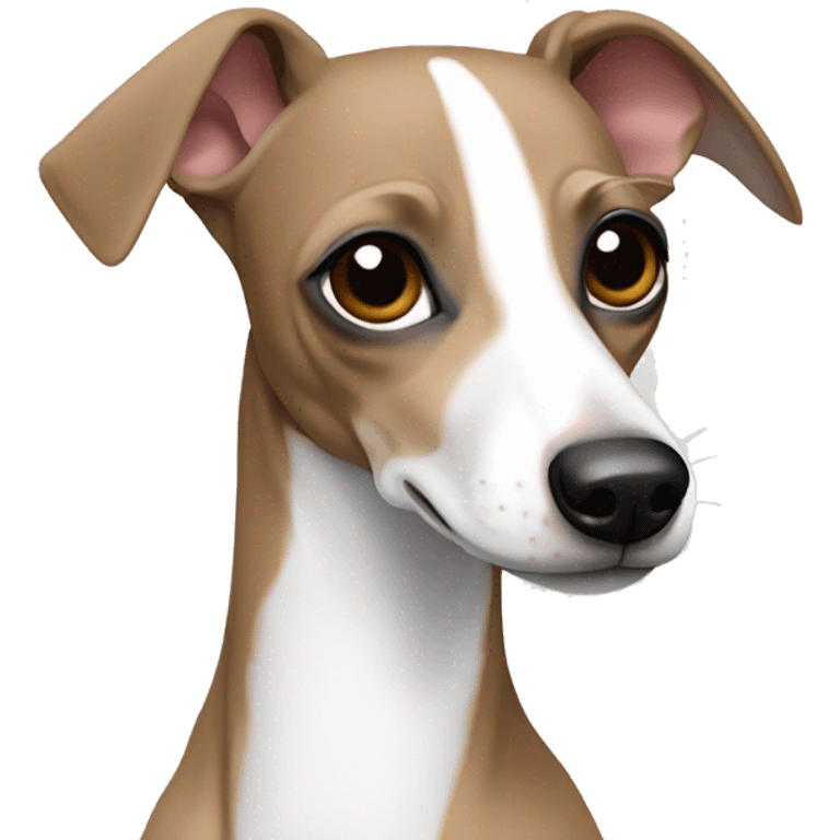 Italian greyhound fawn and white  emoji