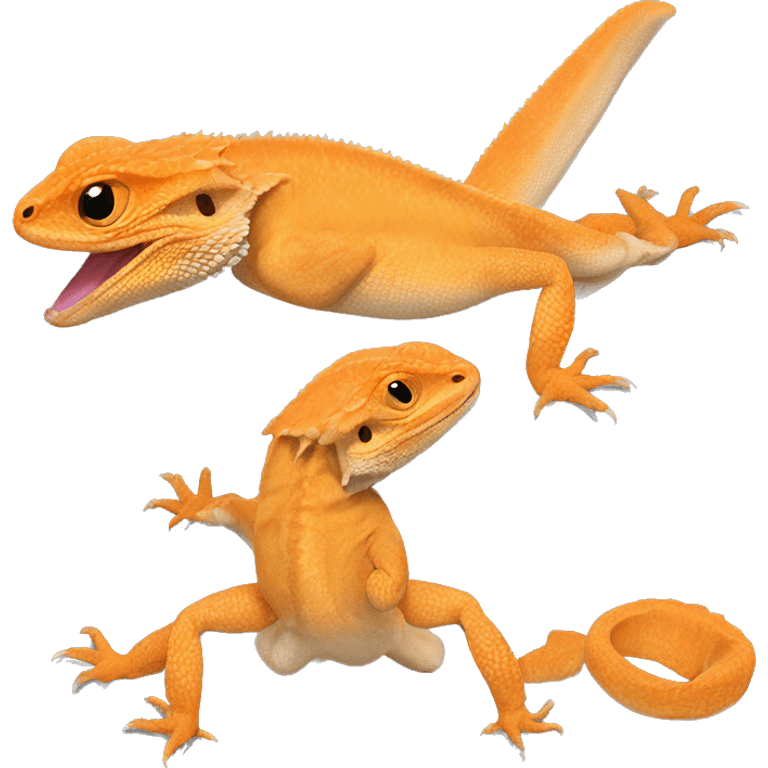 Orange bearded dragon  emoji