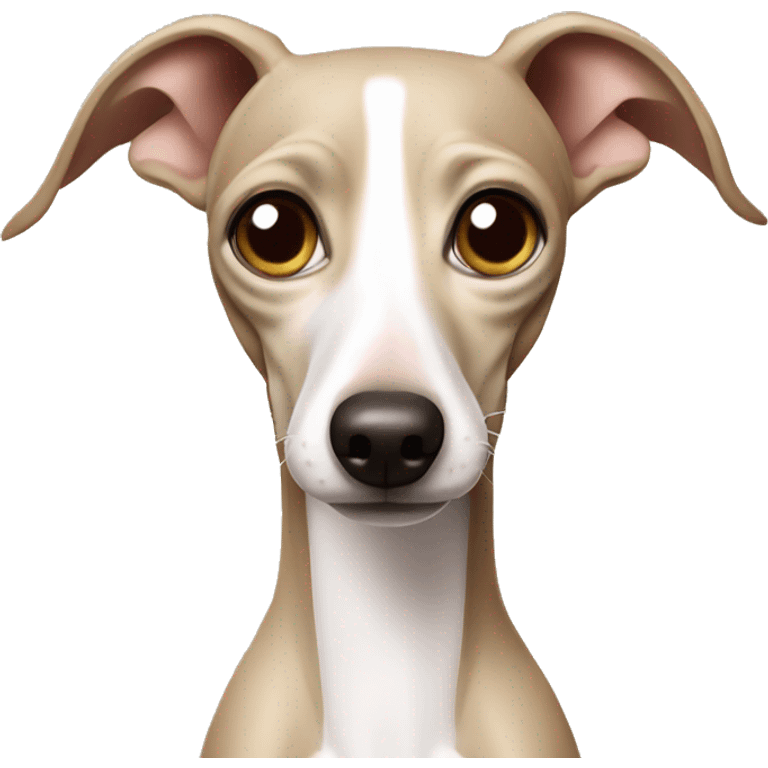 cream italian greyhound disgusted emoji