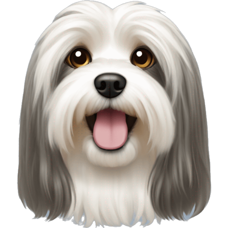 long hair havanese silk dog emoji