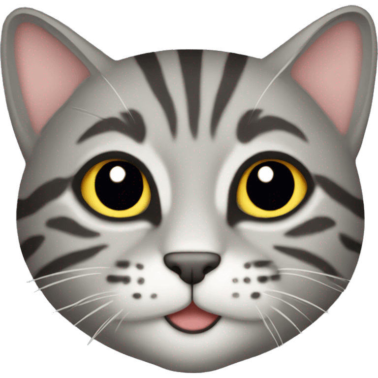 gray tabby cat  emoji