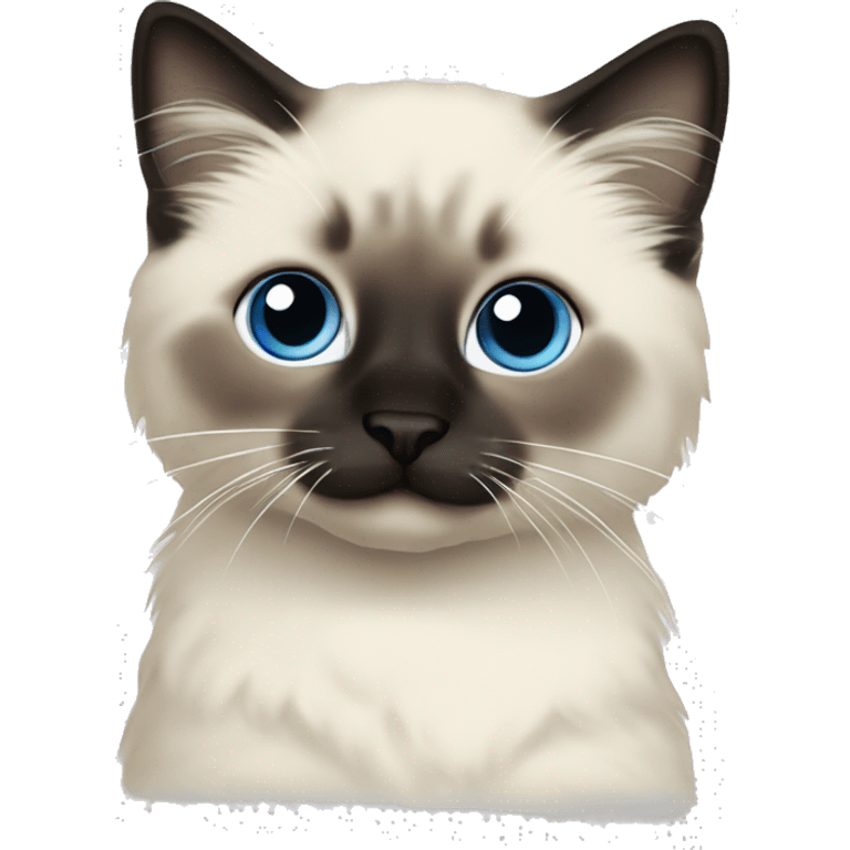 Seal colorpoint ragdoll kitten dark nose emoji