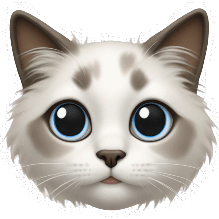 Ragdoll cat  emoji