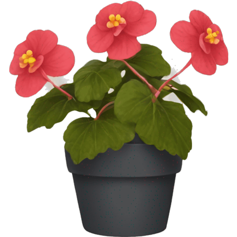 begonia emoji