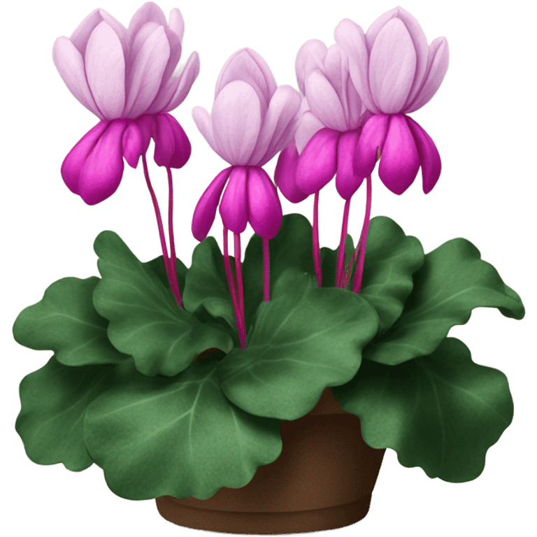 A scarlet bunch of cyclamen with a velvet bow and a vintage calligraphy set
 emoji