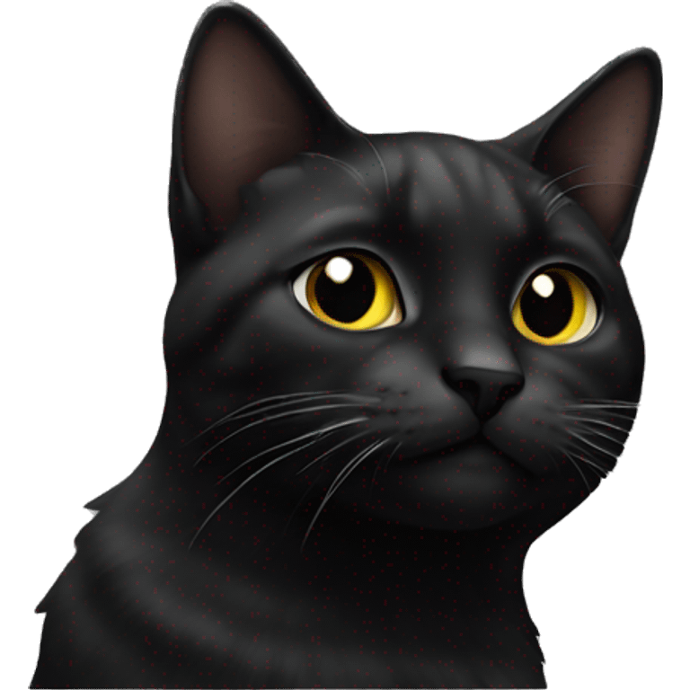 Cat black emoji