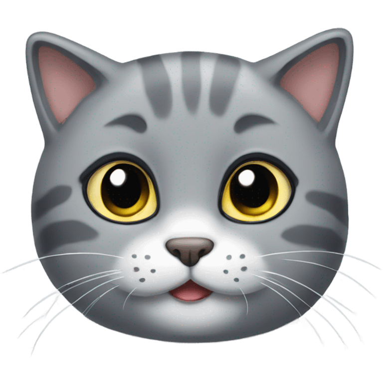 Grey cat looking very cute emoji