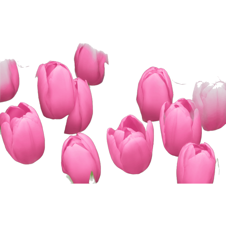 Pink tulips emoji