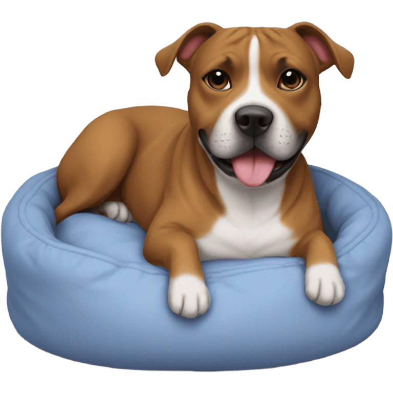 Staffie dog in small bed emoji