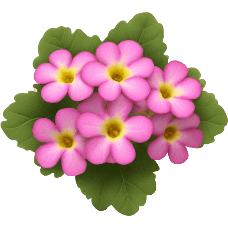 Pink primroses emoji