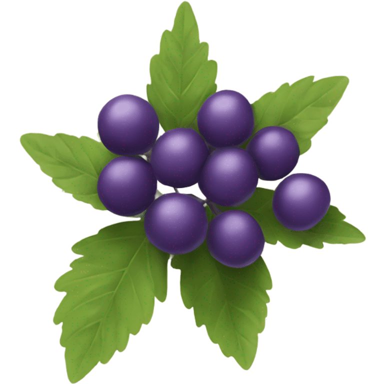 A purple elderberry emoji