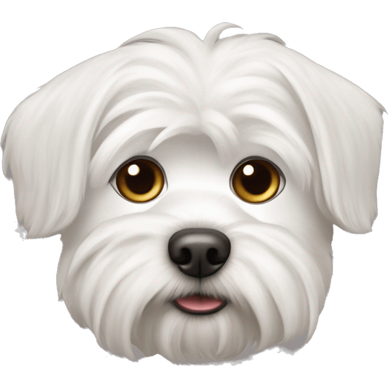 A white Maltese dogs with pointy ears  emoji