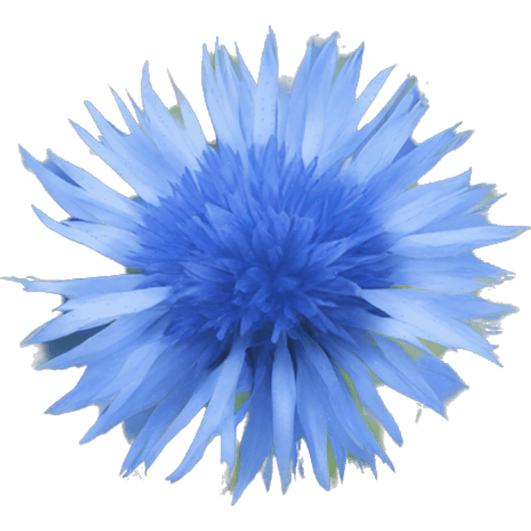 Cornflower emoji