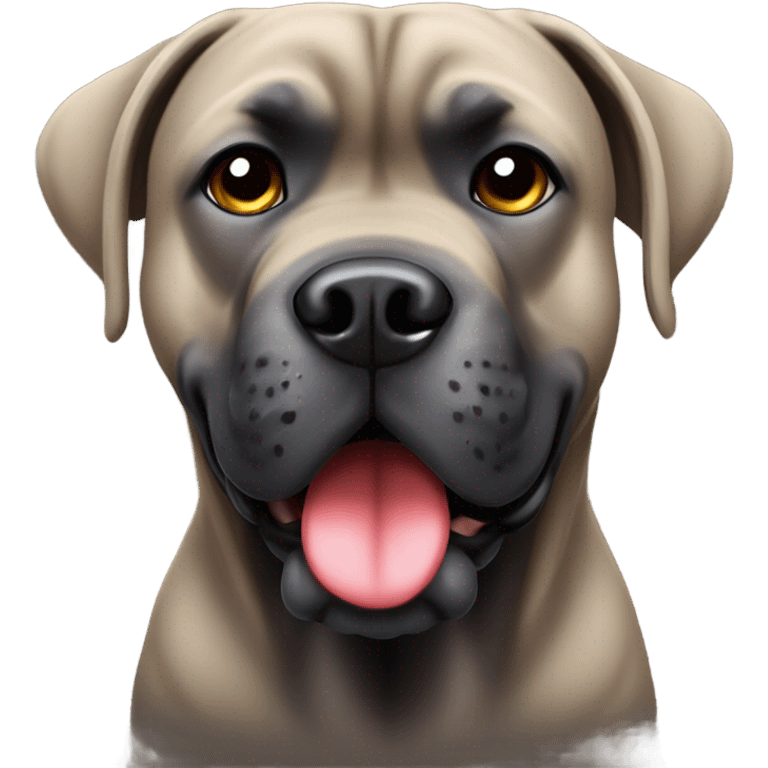 A Cane Corso in love. emoji