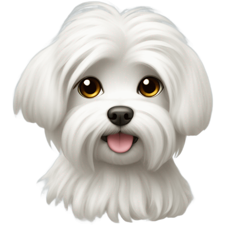 maltese dog emoji