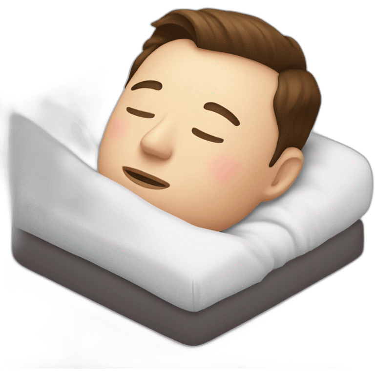 elon musk sleep emoji