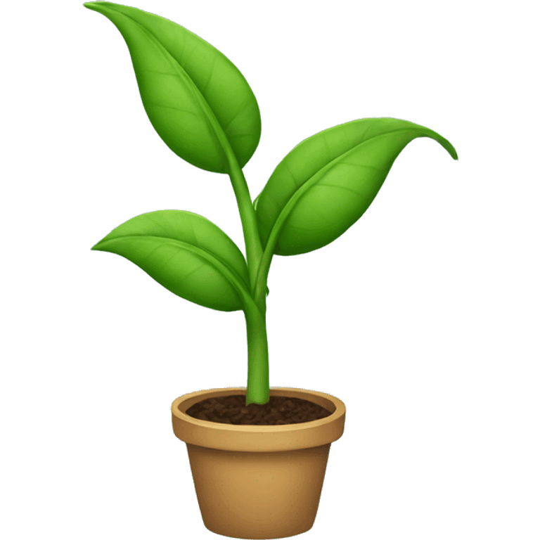 A plant emoji