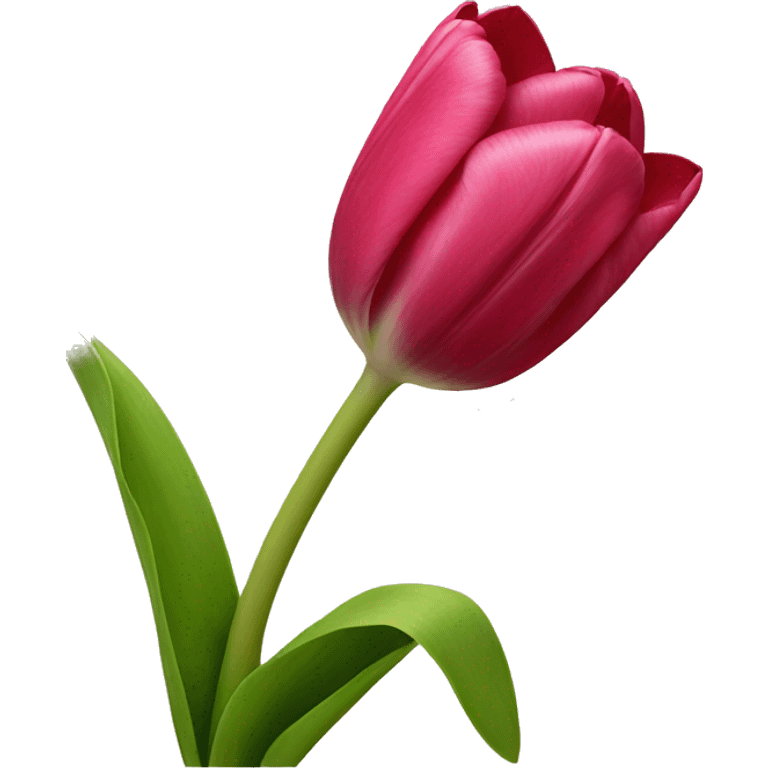 tulip emoji