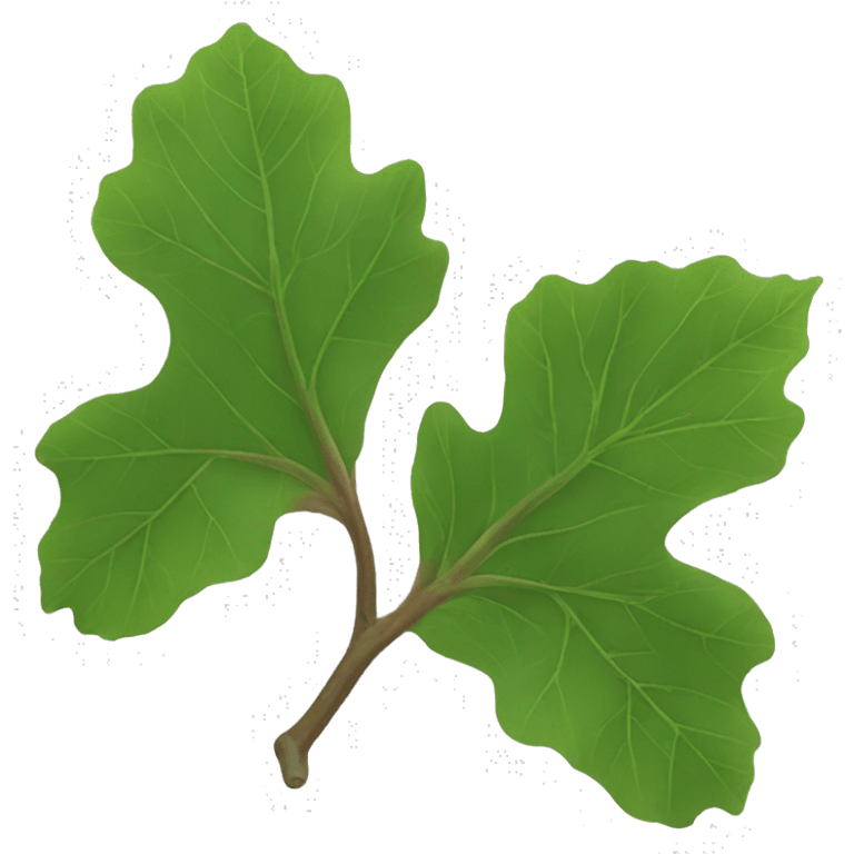 fig leaf emoji