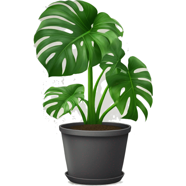 monstera in pot emoji