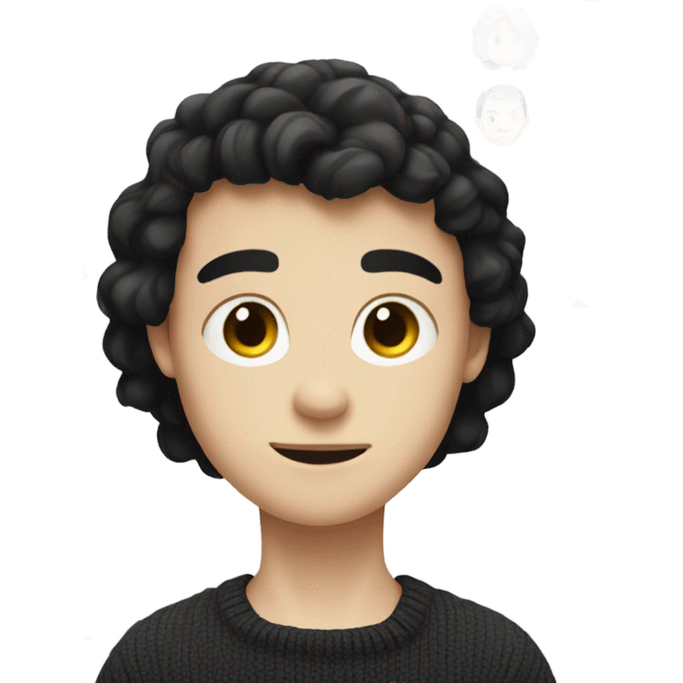 A pale boy with black hair and hazel eyes and a black jumper emoji