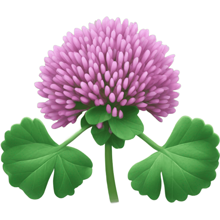 Red Clover emoji