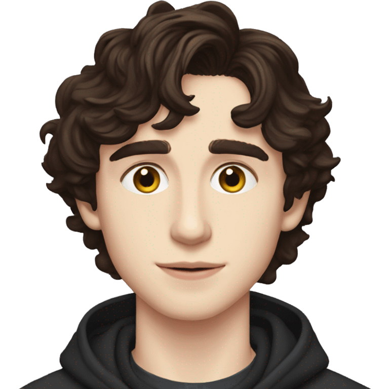 tiomthe chalamet emoji