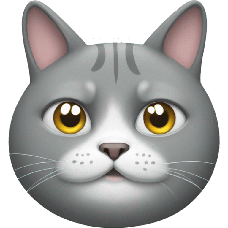 grey fat cat emoji