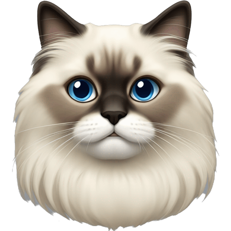 a himalayan birman cat emoji