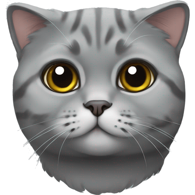 Cat Scottish fold gray emoji