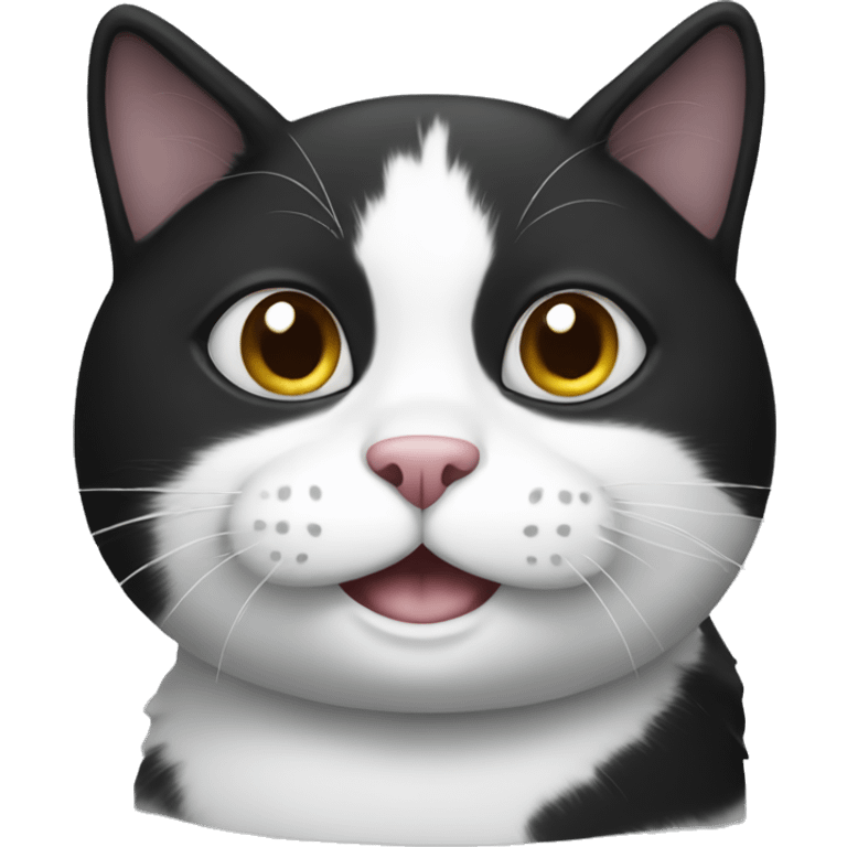 black and white cat emoji