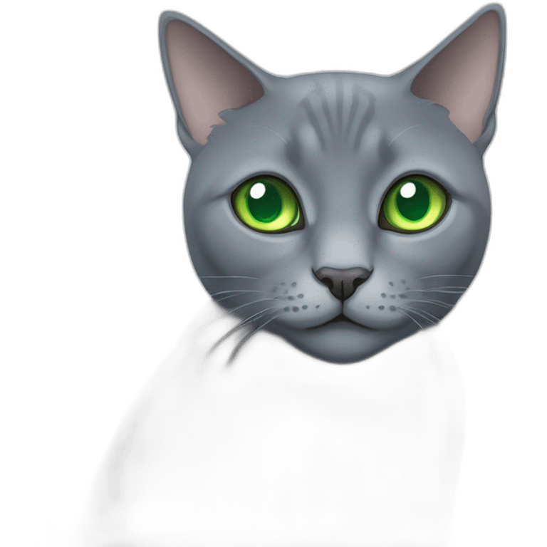 round faced grey russian blue cat with green eyes with big pupils and fat emoji