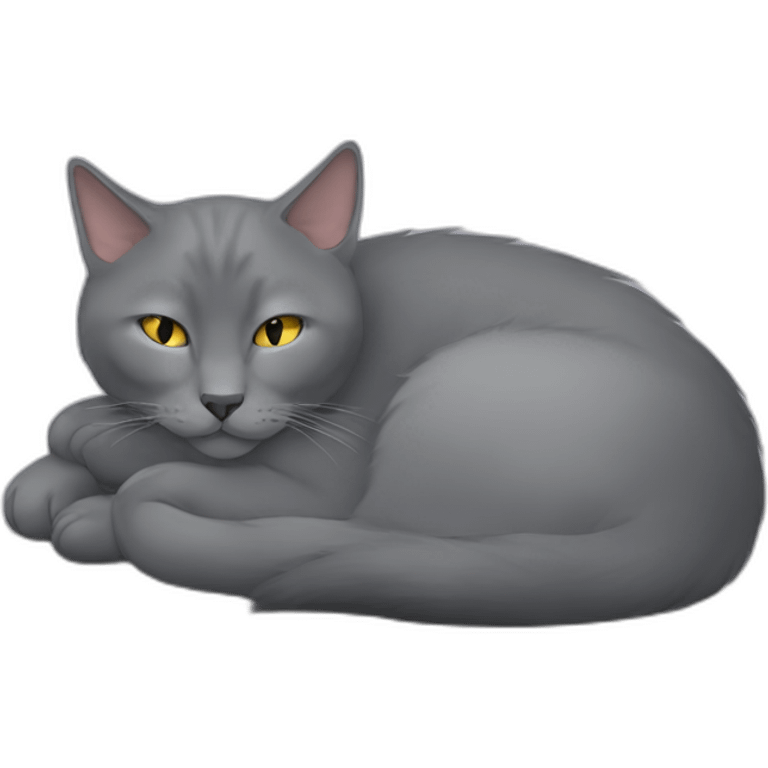 fluffy grey korat breed cat sleeping female emoji