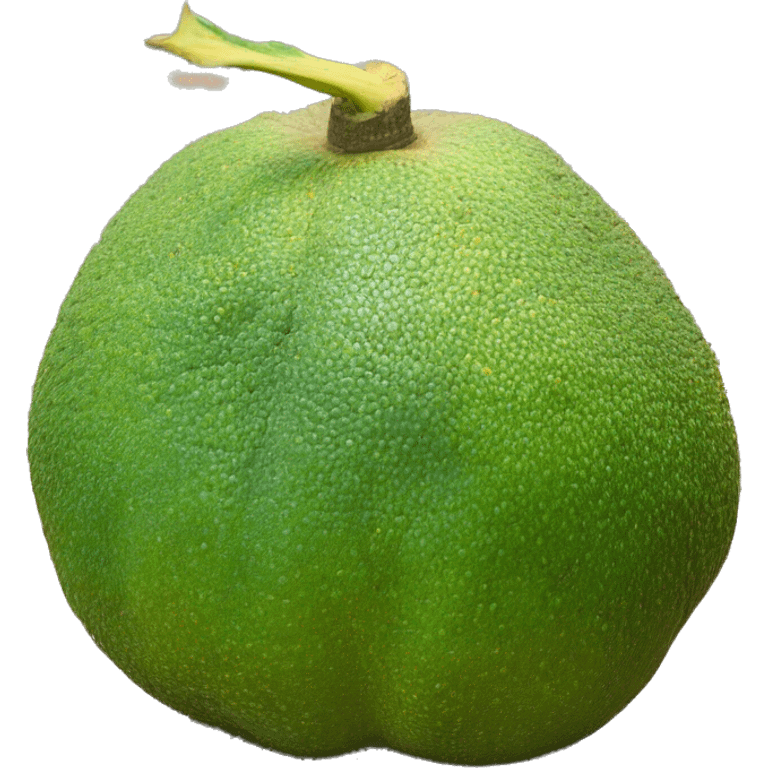 Breadfruit emoji