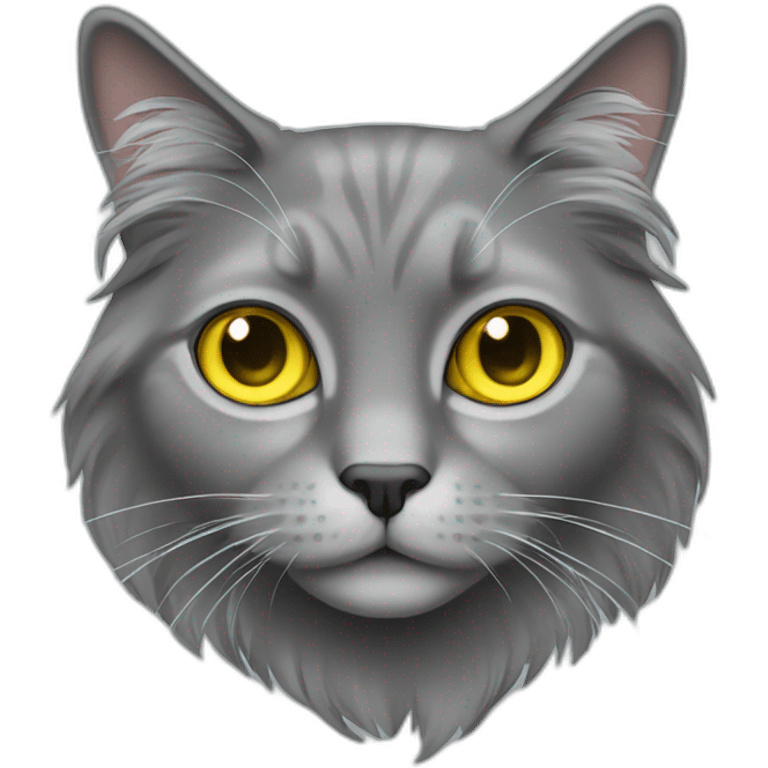 gray long hair cat with yellow big eyes emoji