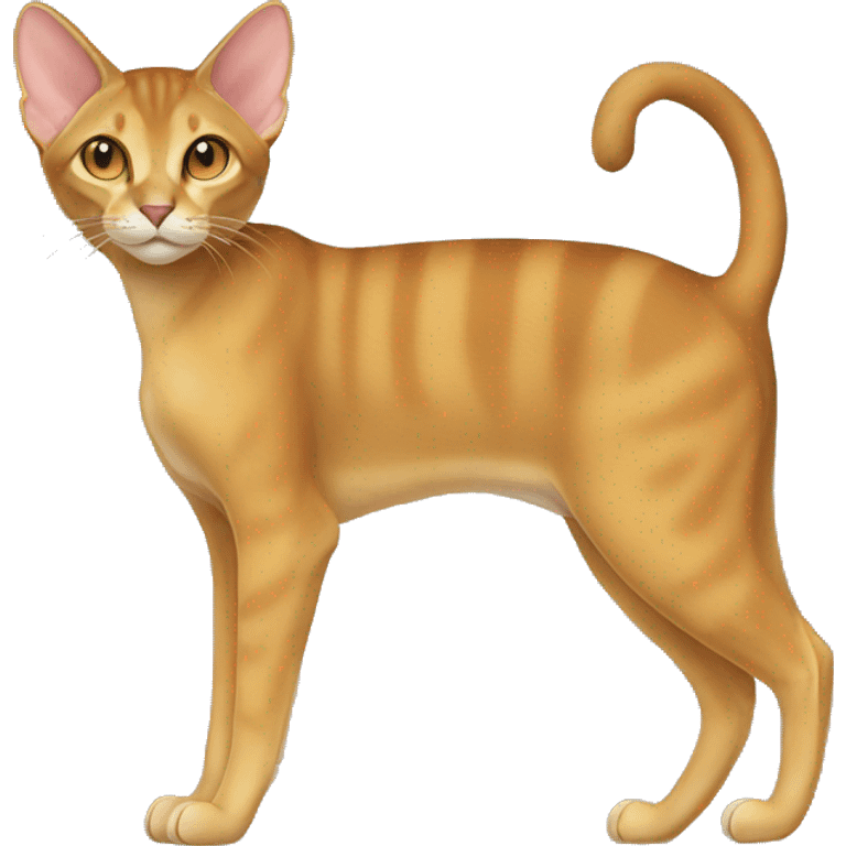 Chausie Cat Full Body emoji