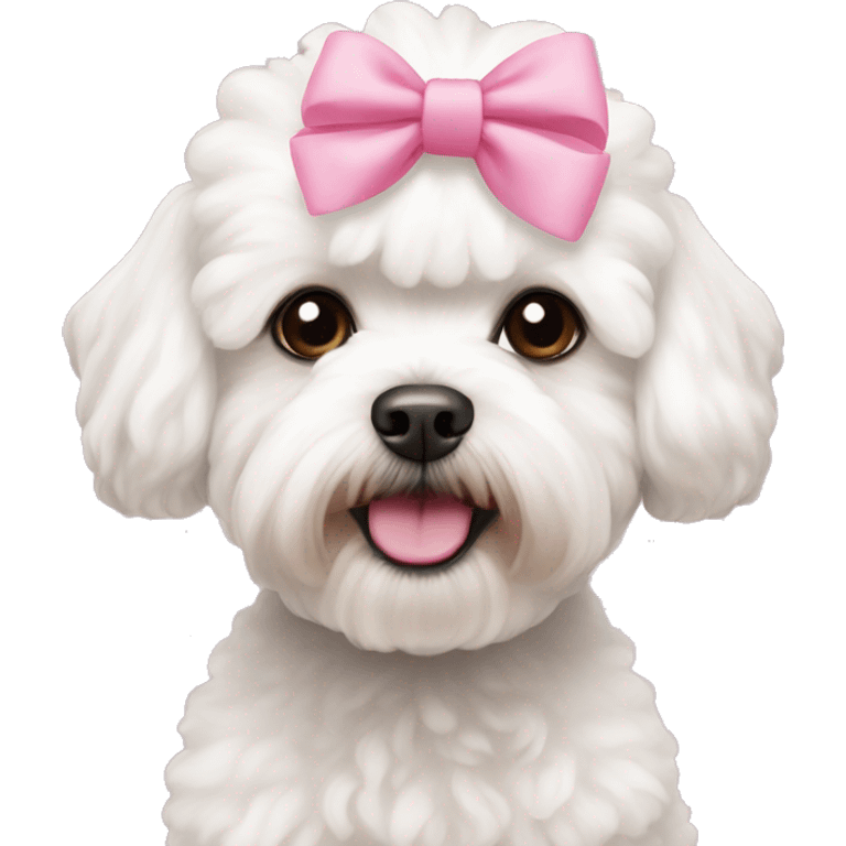 white maltipoo with pink bows on the head emoji