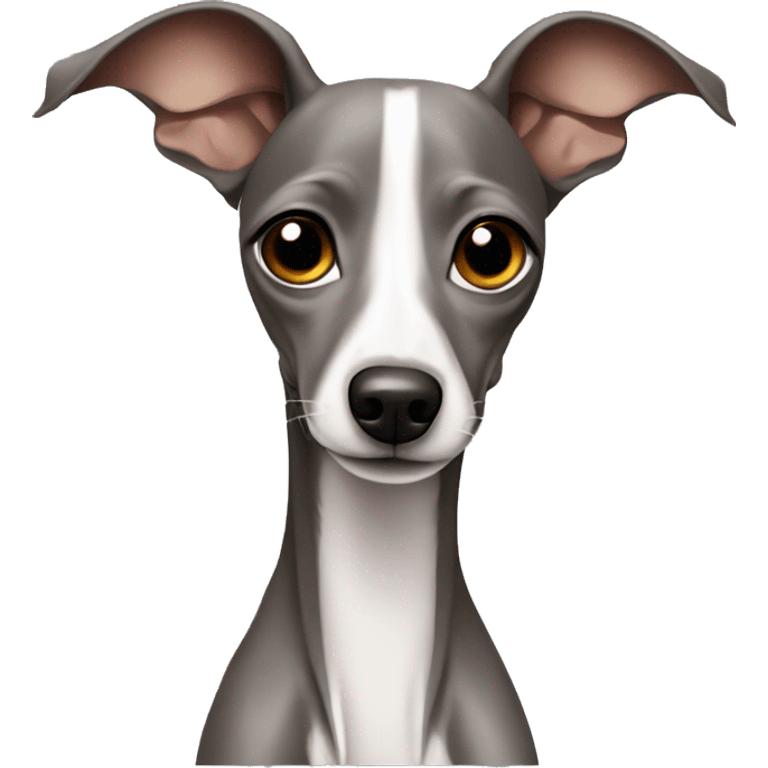 italian greyhound  emoji