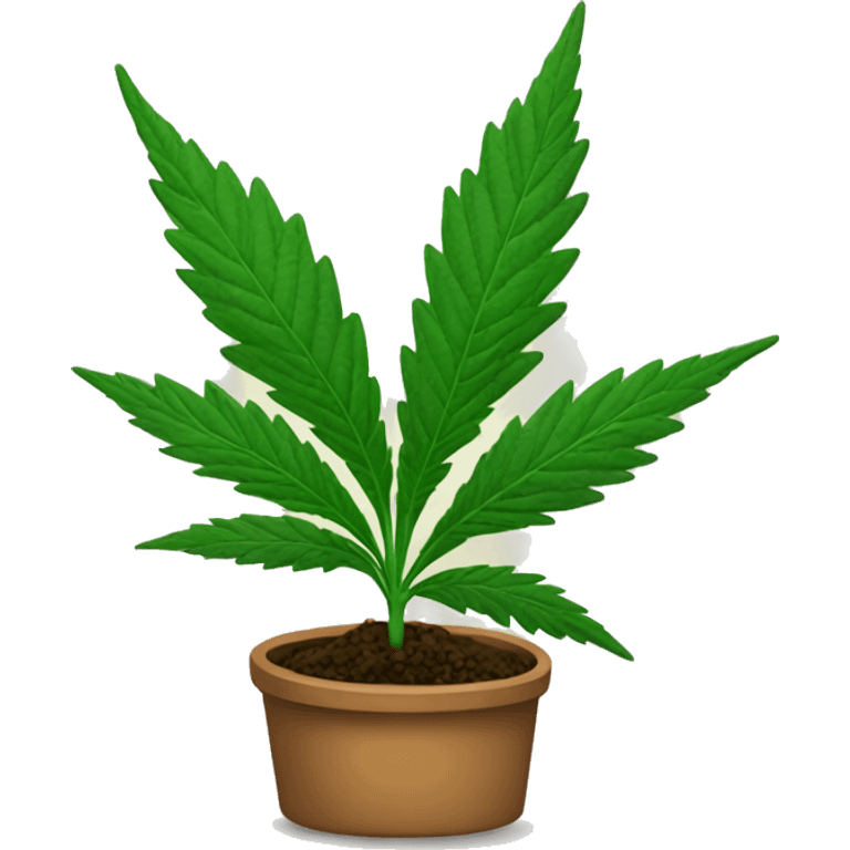 Una planta de cannabis emoji