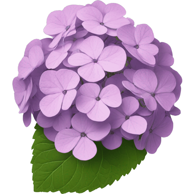 Hydrangea  emoji