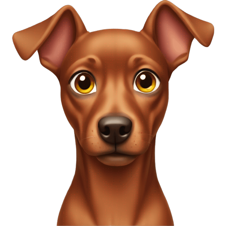 Brown Pinscher with short tale emoji