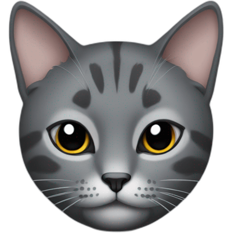 grey and black cat with one eye bigger than the other emoji