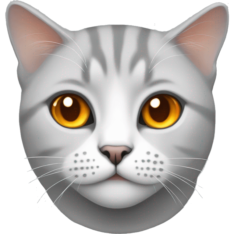 White and grey british cat with orange eyes emoji