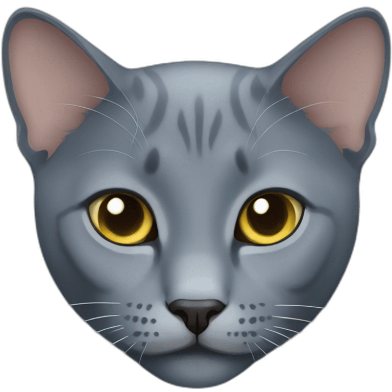 russian blue cat emoji