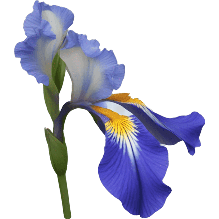 Blue Iris flower emoji