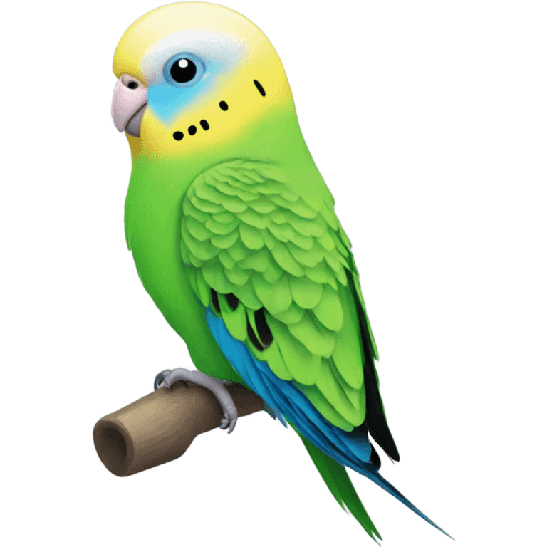 A budgie emoji