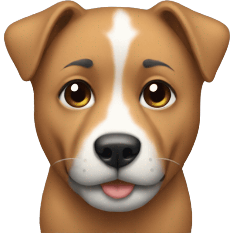 pet deniz emoji