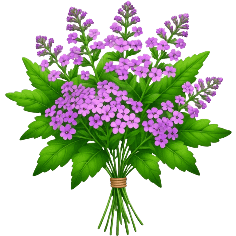 big bouquet Verbena, stem, leaf emoji